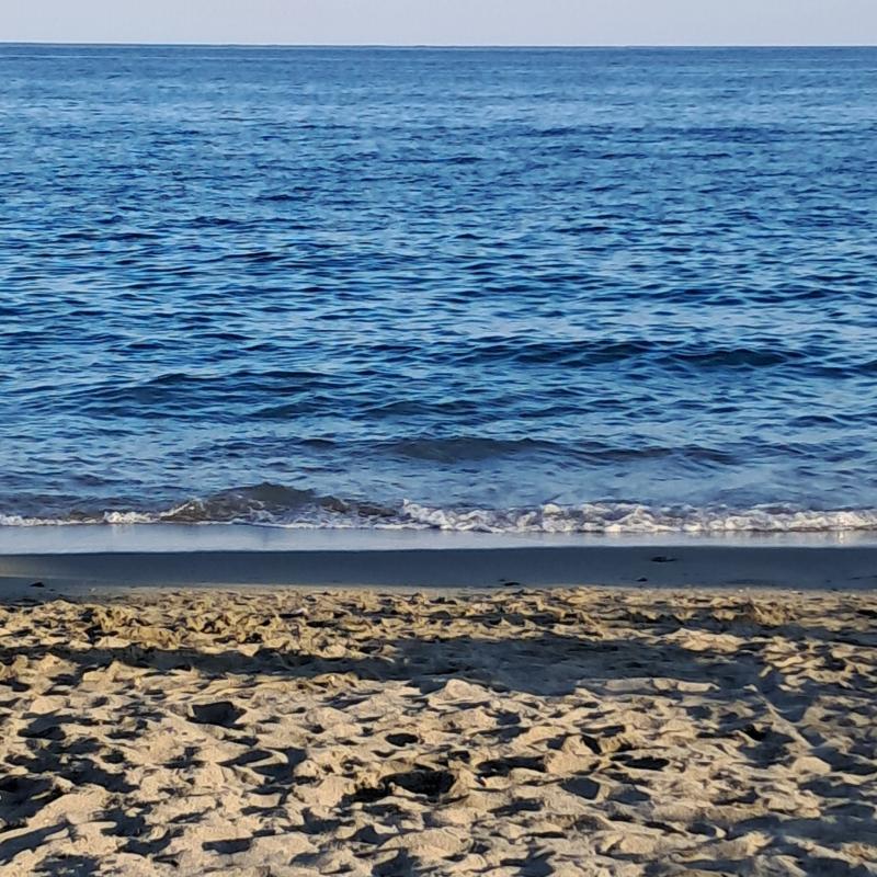 Fotosegnalazione di Albisola superiore