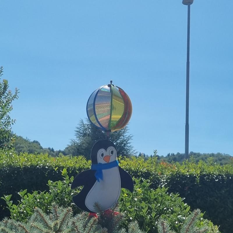 Fotosegnalazione di Ponteranica