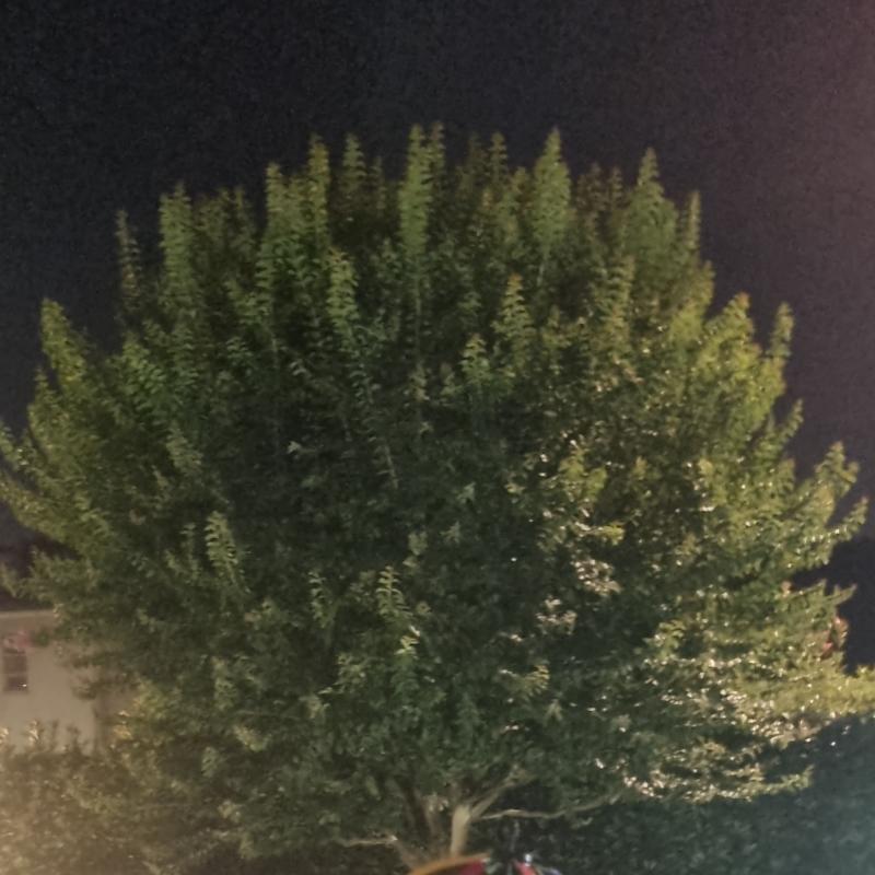 Fotosegnalazione di Ponteranica