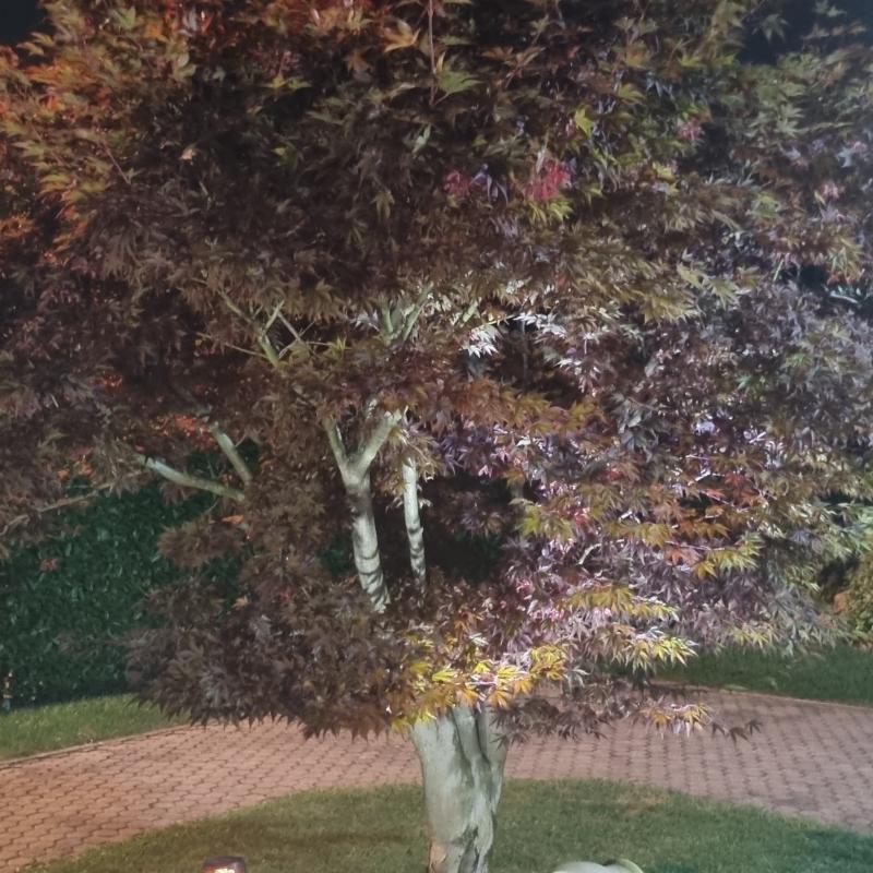 Fotosegnalazione di Ponteranica