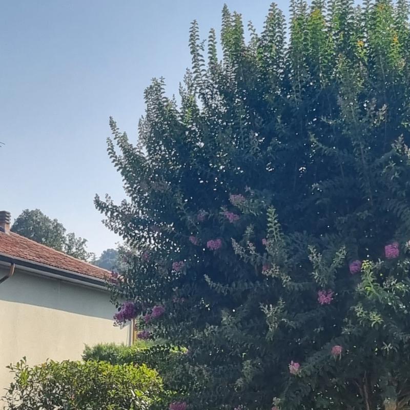 Fotosegnalazione di Ponteranica