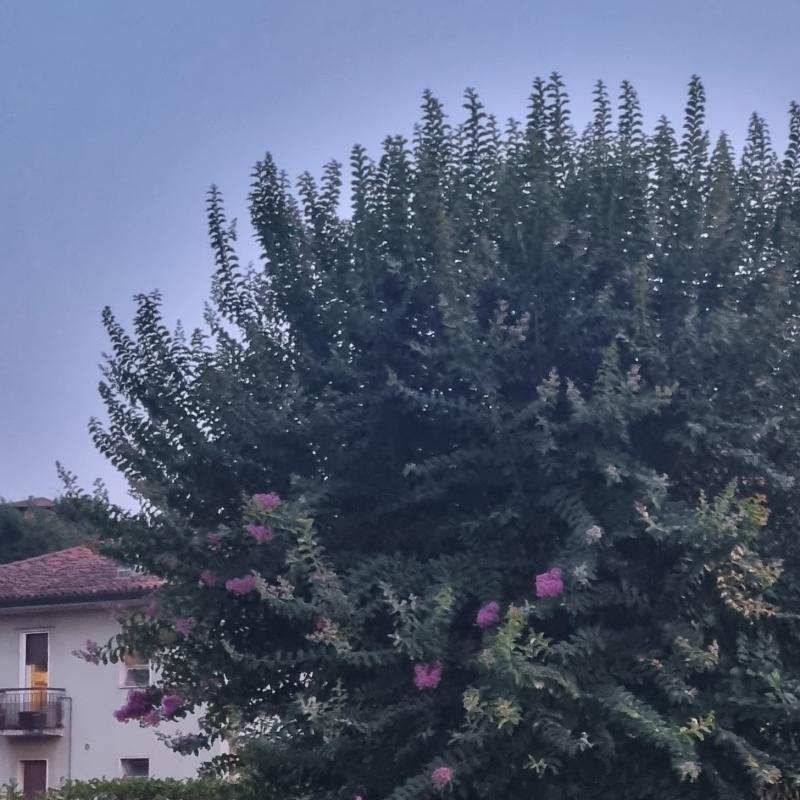 Fotosegnalazione di Ponteranica