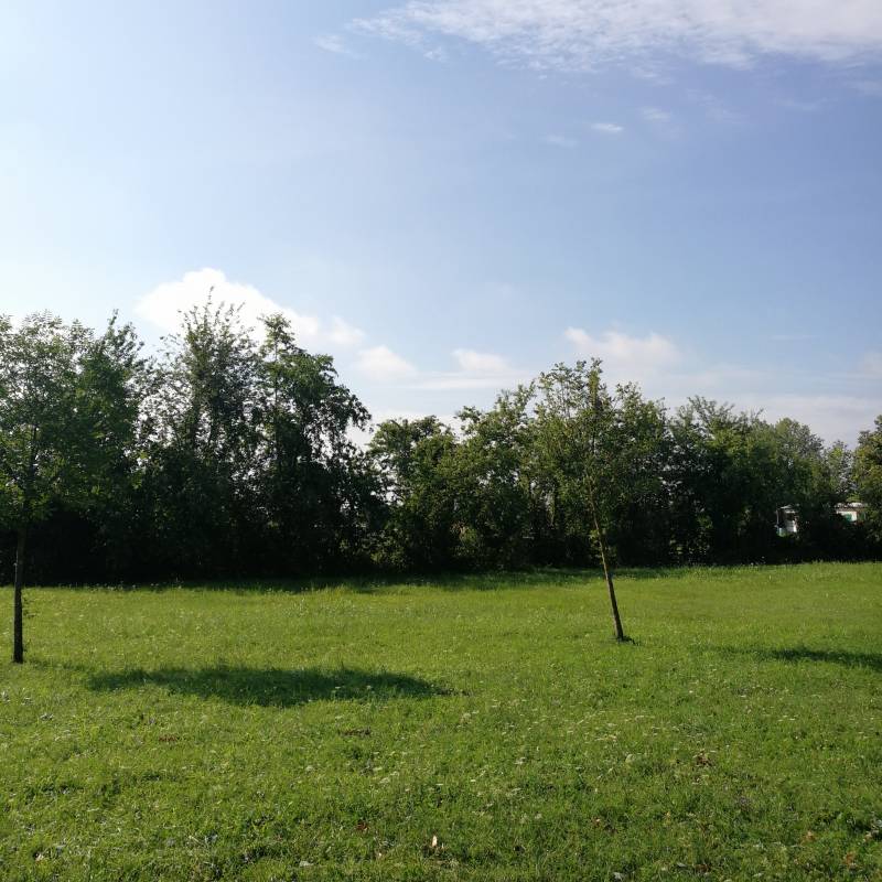 Fotosegnalazione di Solaro