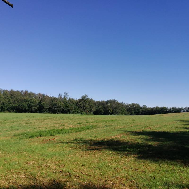Fotosegnalazione di Limbiate