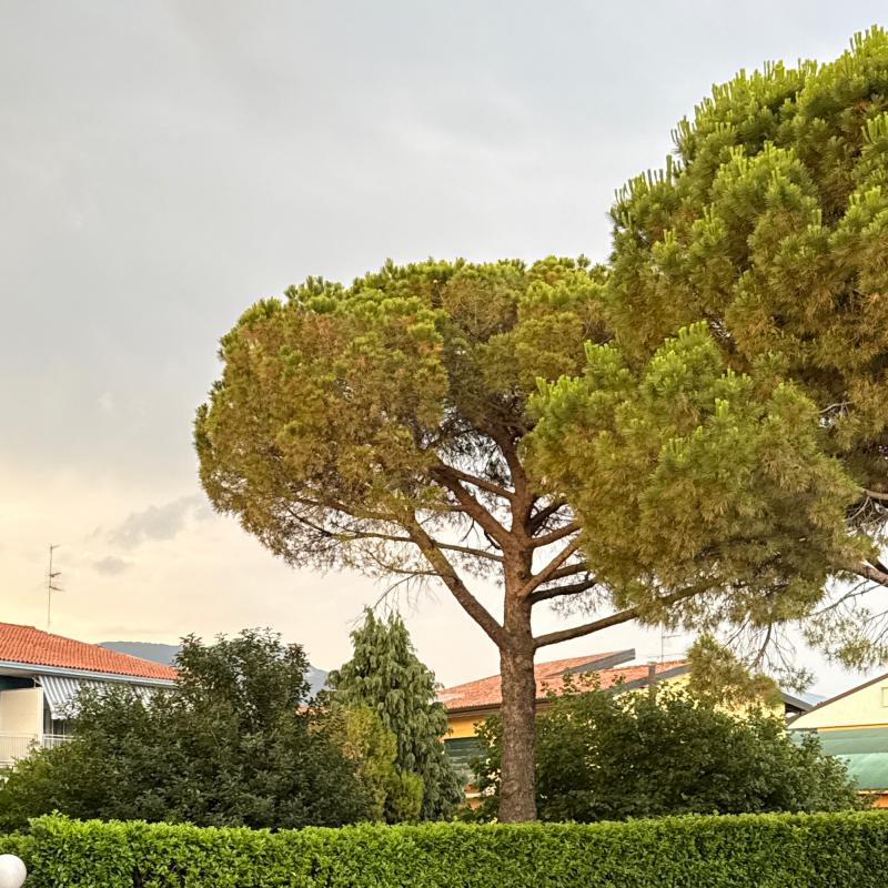 Fotosegnalazione di San paolo d'argon