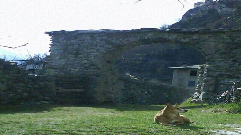 Antiche mura 