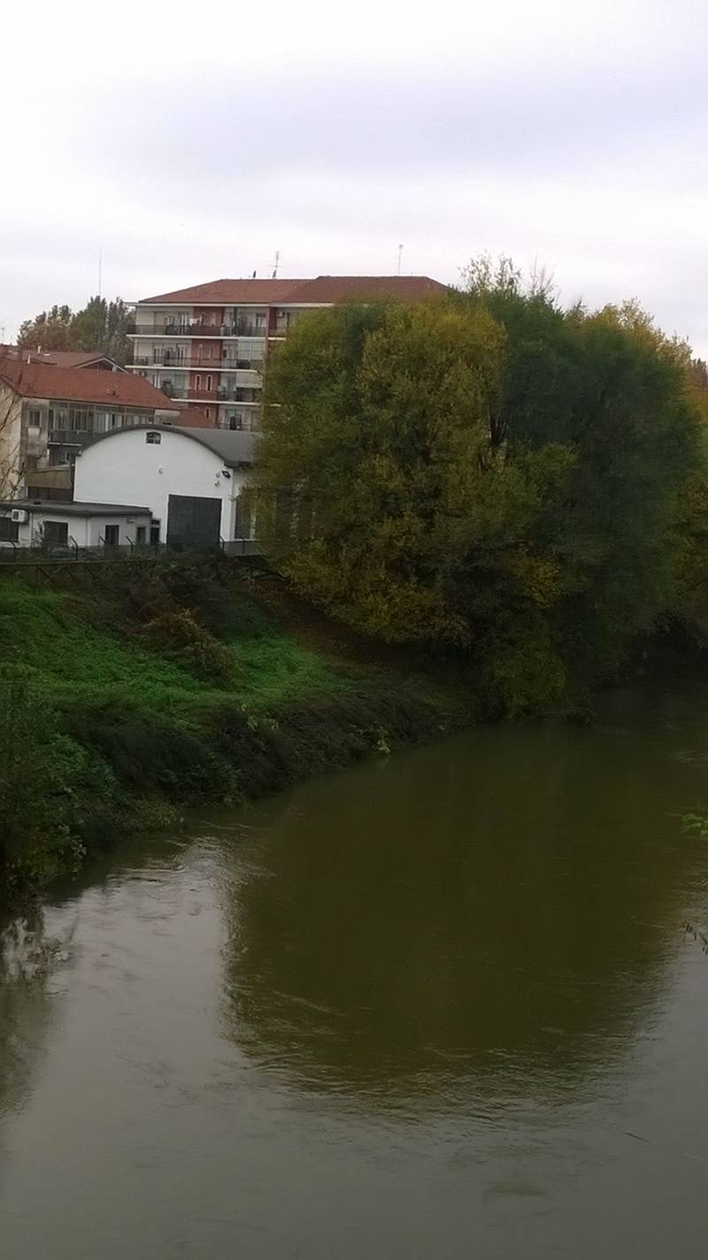 nichelino fiume con paesaggio
