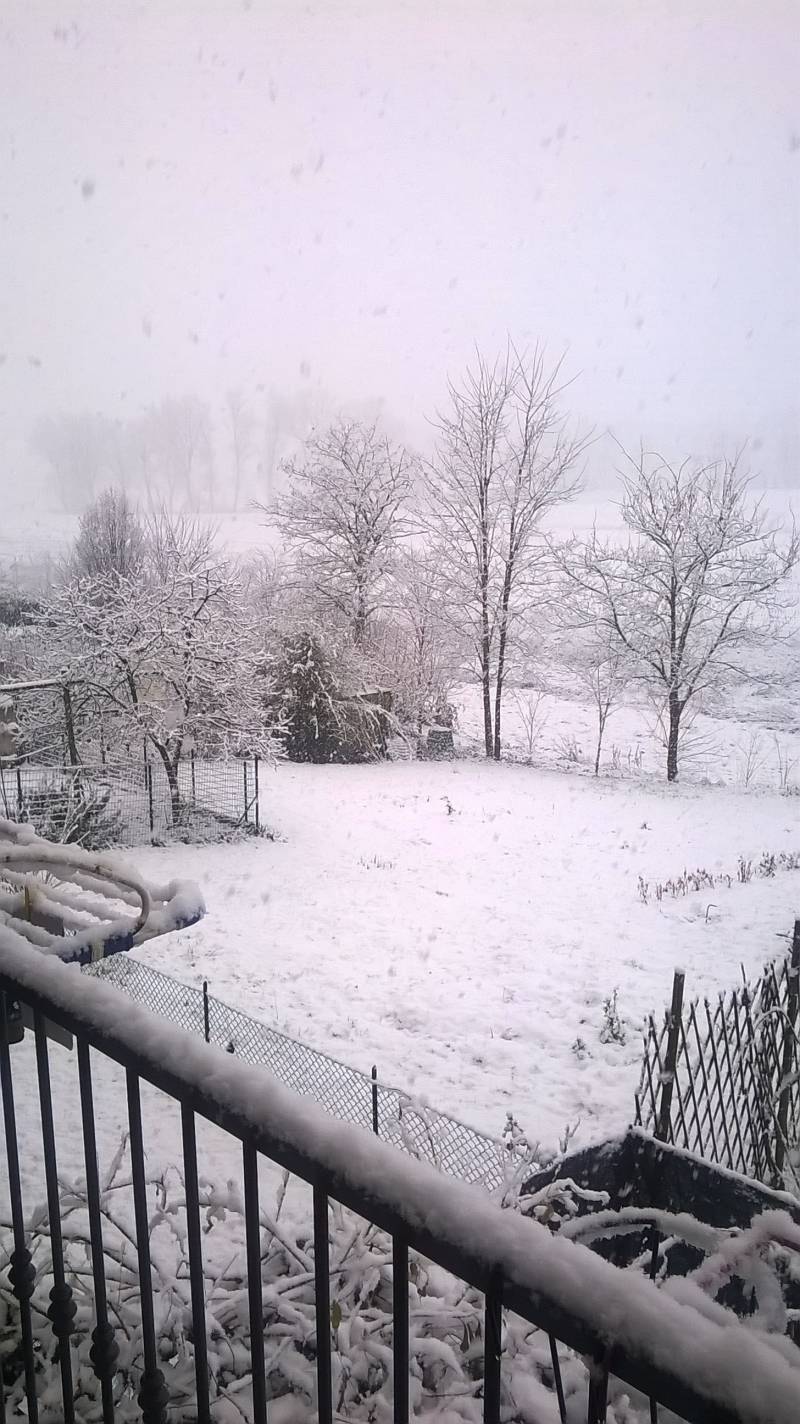nevicata 27 dicembre 2014