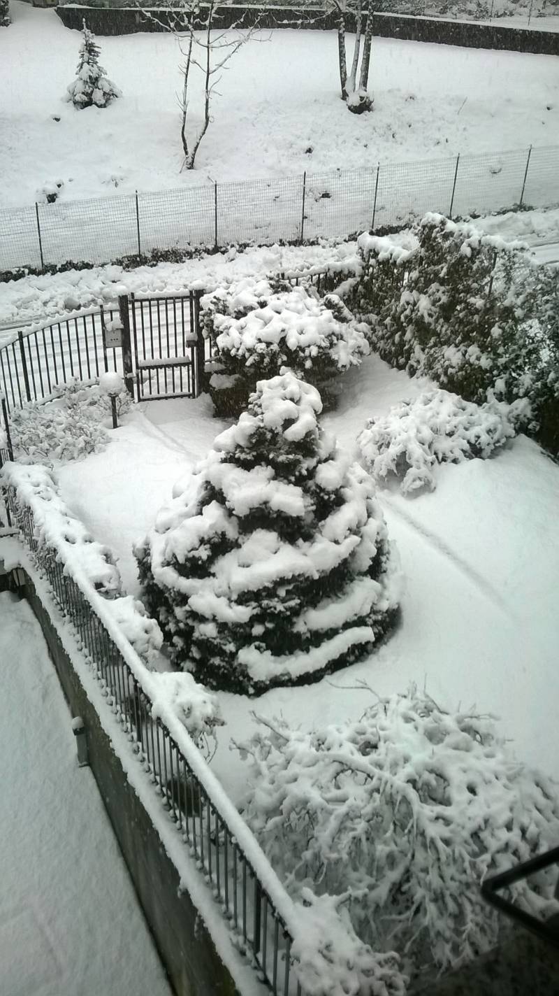 neve alle 10