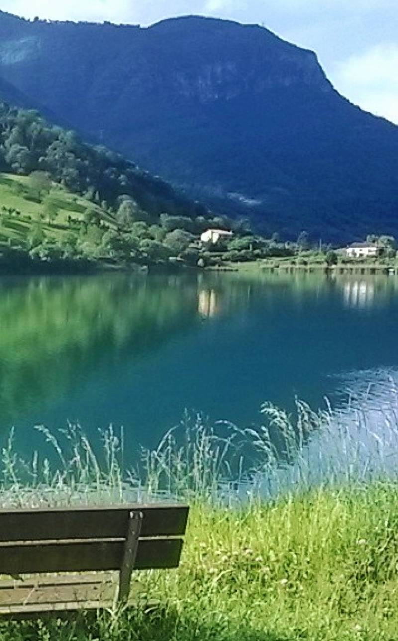 verde lago