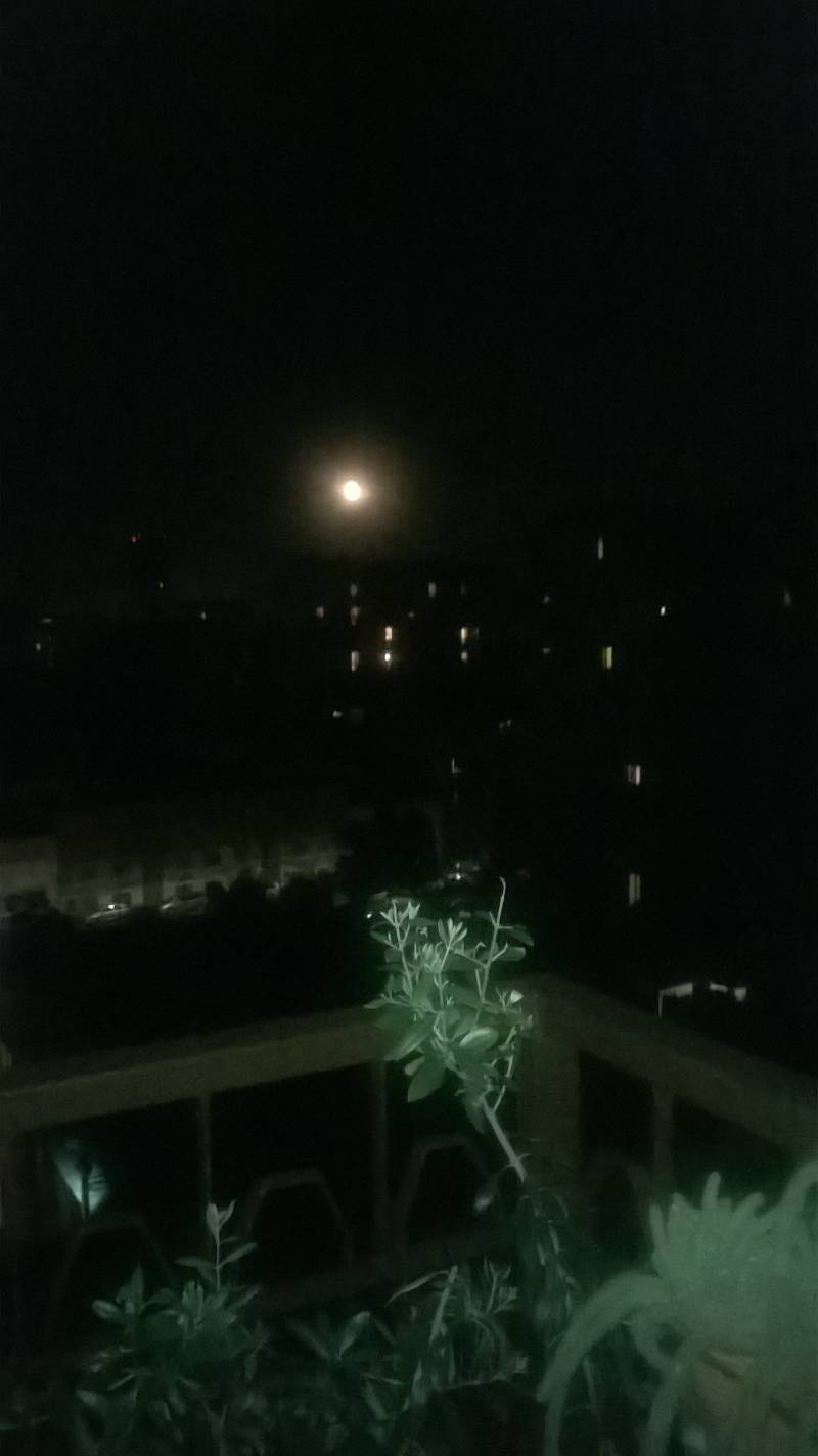 notte di luna piena
