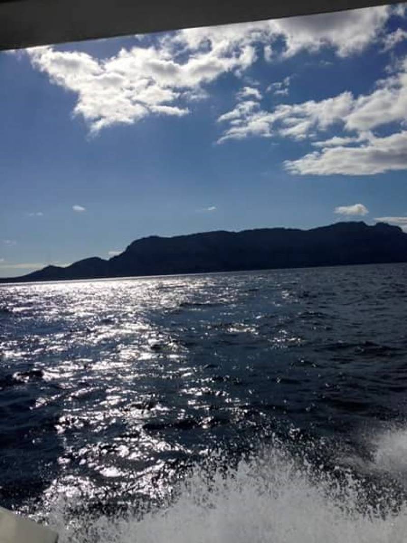 Gita in barca vicino a isola di Tavolara