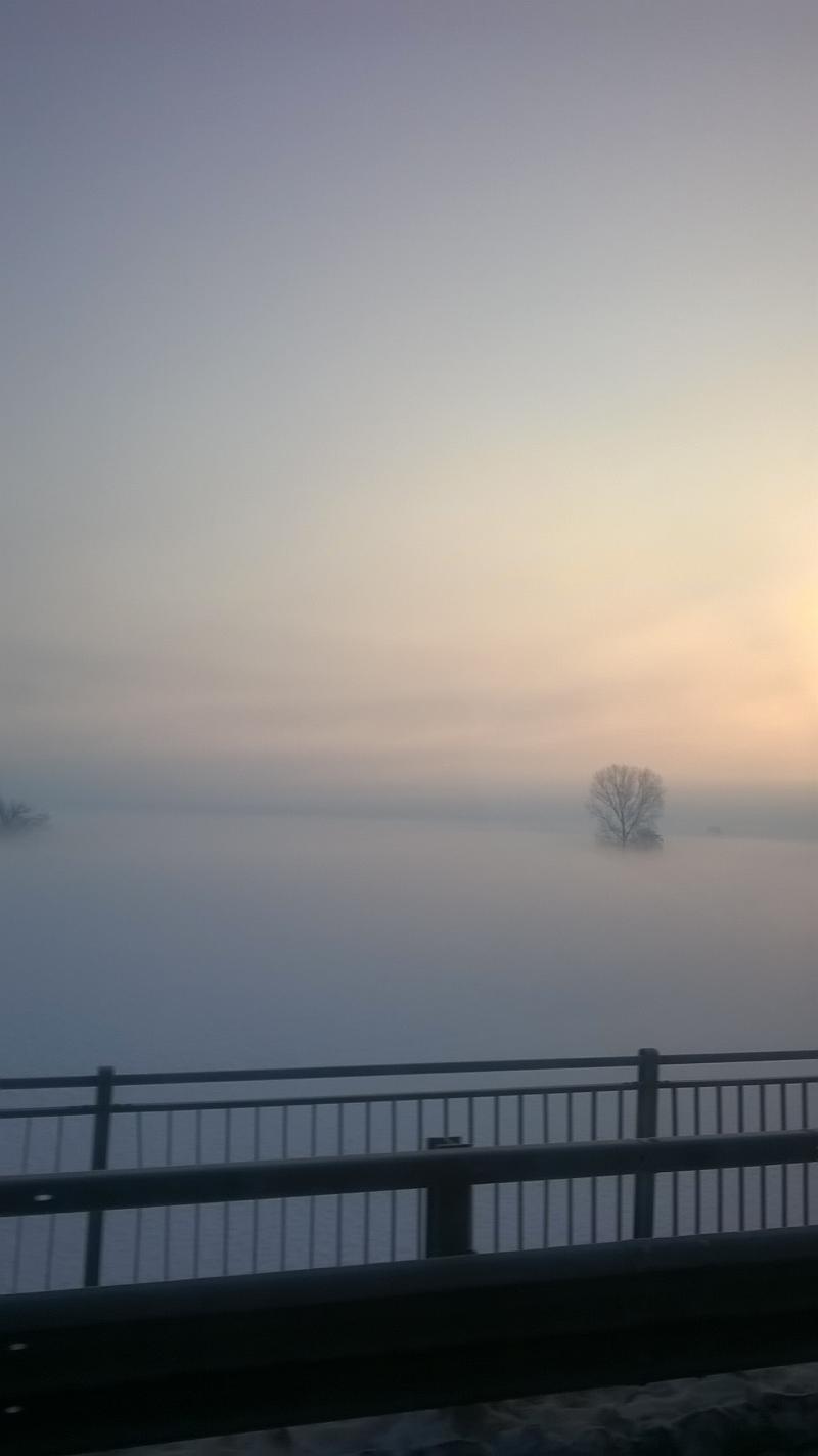 nebbia sul Po a Viadana