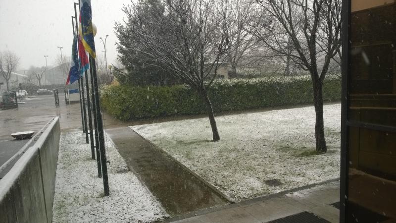 Quanta neve