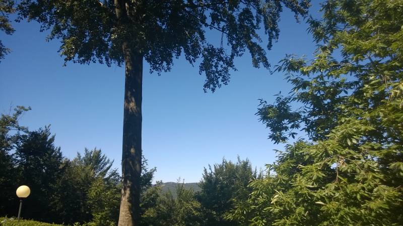 giornata splendida