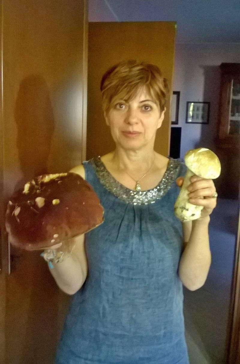 porcini 20 agosto