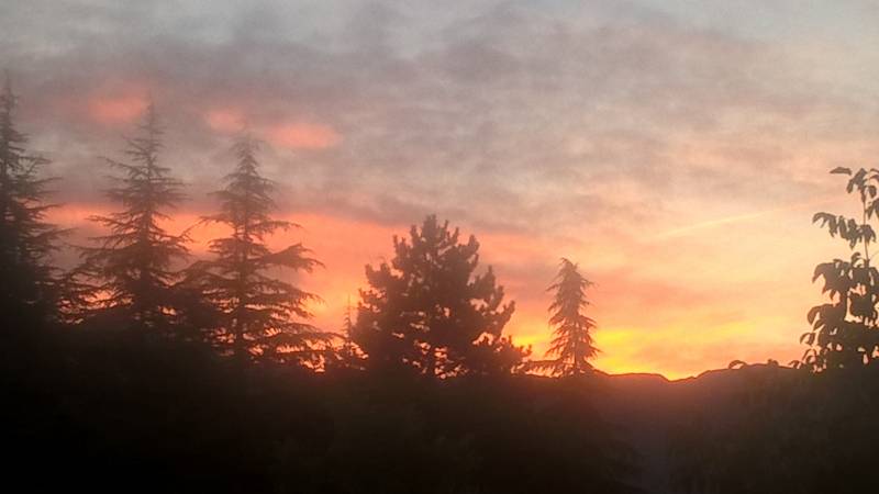 ALBA A BORNO
