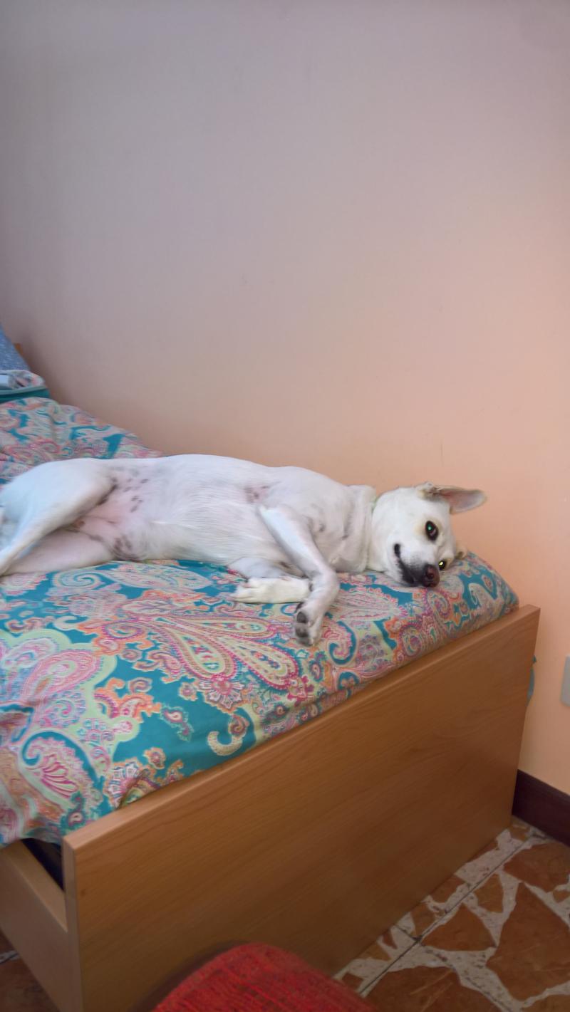 che bello dormire nel letto di nonna