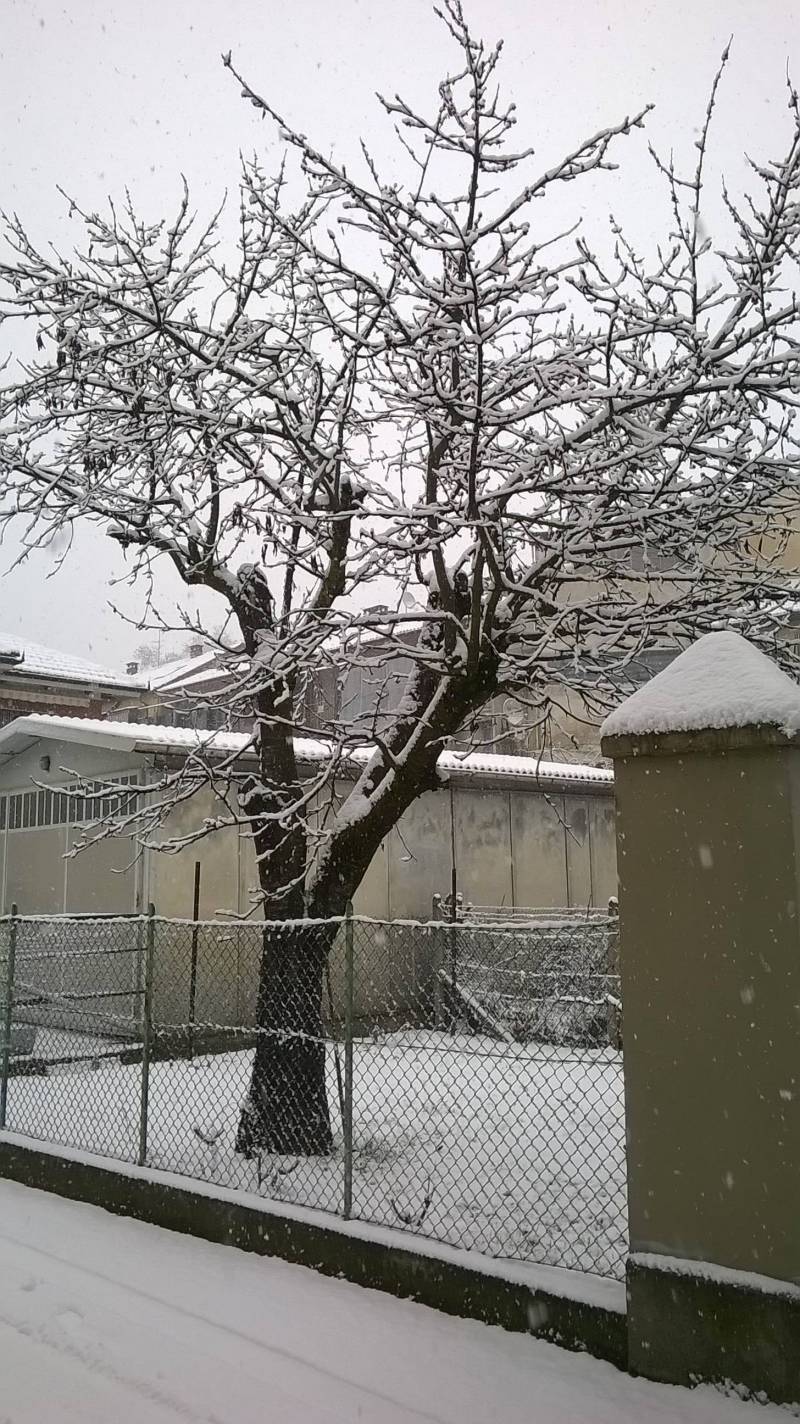 Neve ad Asti