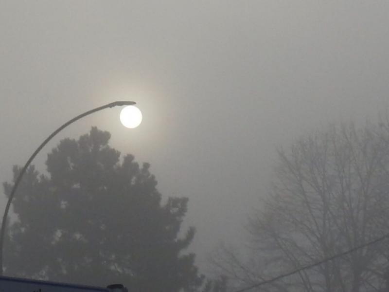 stamattina nebbia