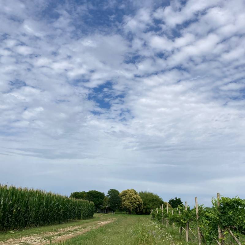 Fotosegnalazione di Cordenons