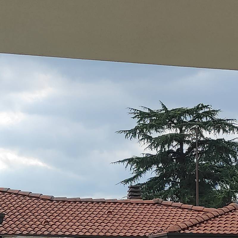 Fotosegnalazione di Sesto al reghena