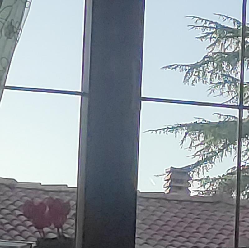 Fotosegnalazione di Sesto al reghena