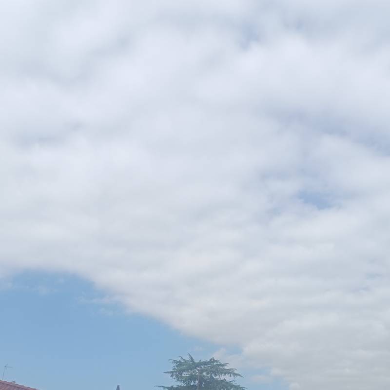 Fotosegnalazione di Sesto al reghena
