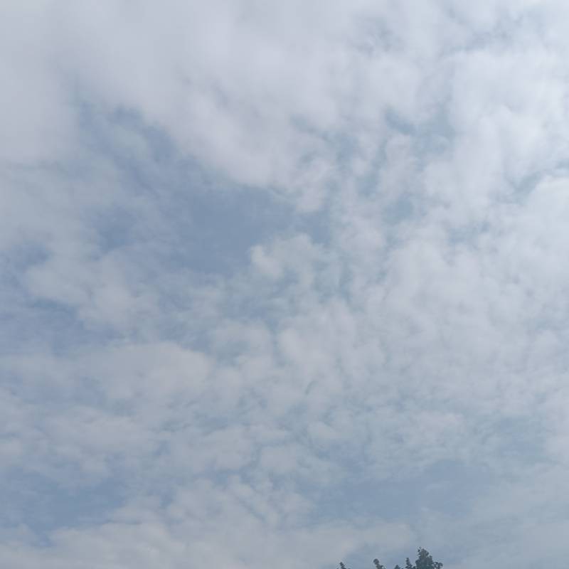 Fotosegnalazione di Sesto al reghena