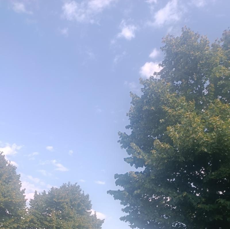 Fotosegnalazione di Sesto al reghena