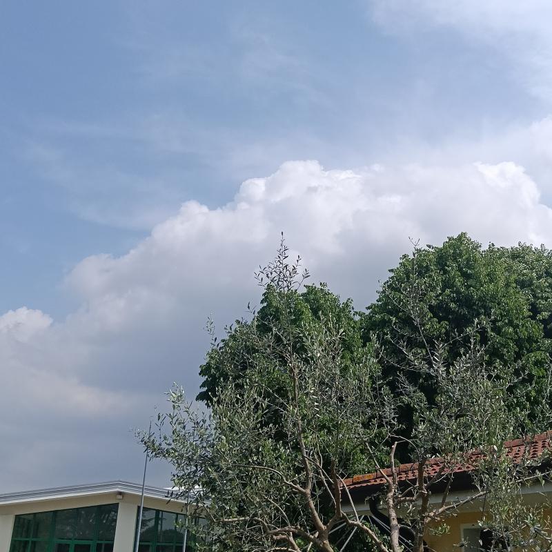 Fotosegnalazione di Sesto al reghena
