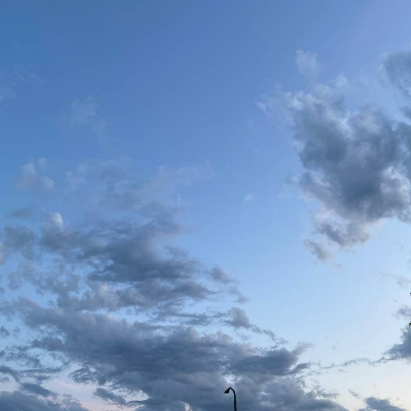 Fotosegnalazione di Motta at