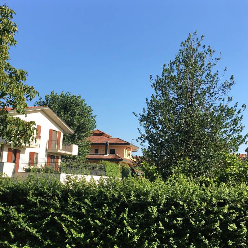 Fotosegnalazione di Pavia nord