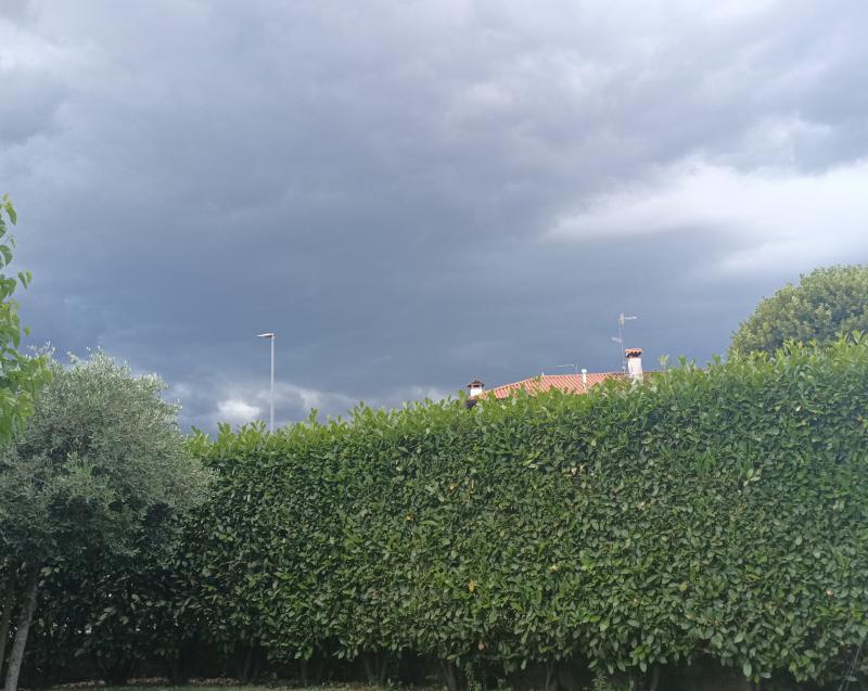 arriva la pioggia