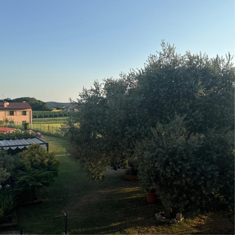 Fotosegnalazione di Majano