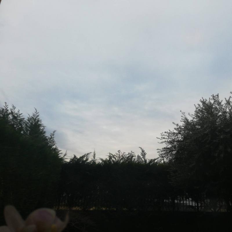 Fotosegnalazione di Verona