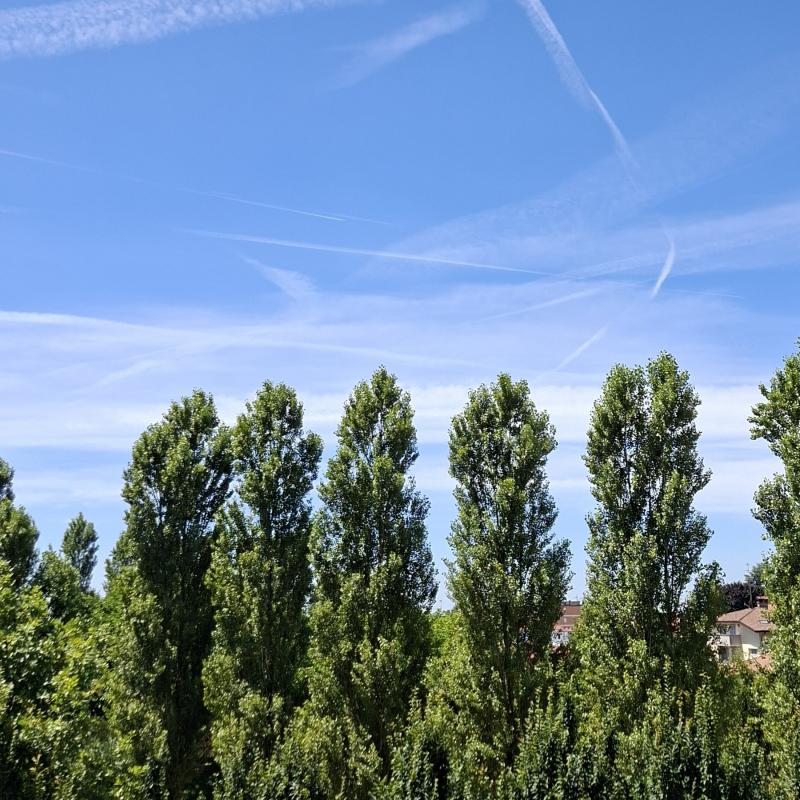 Fotosegnalazione di Verano brianza