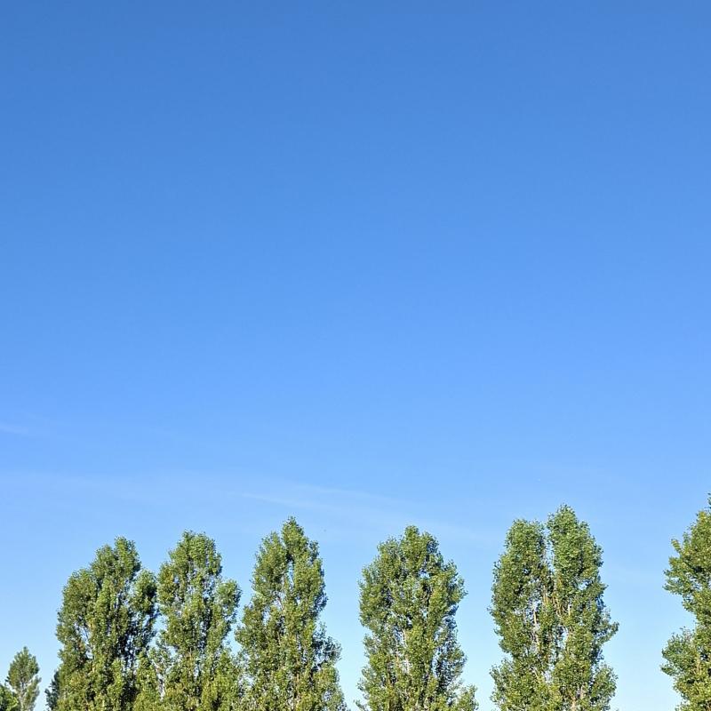 Fotosegnalazione di Verano brianza