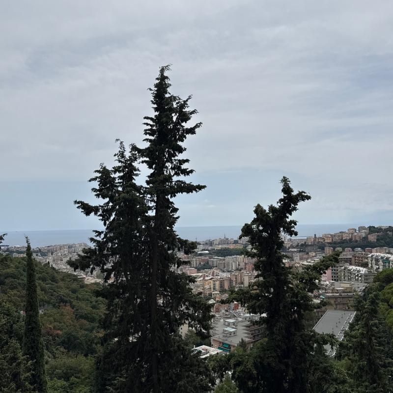 Fotosegnalazione di Genova bassa val bisagno