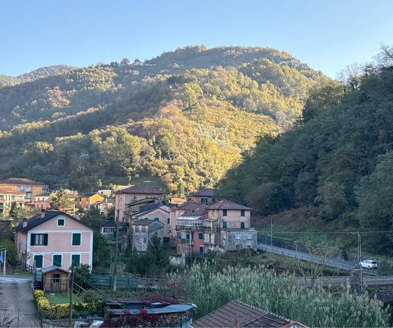 Mezzanego ponte di vignolo