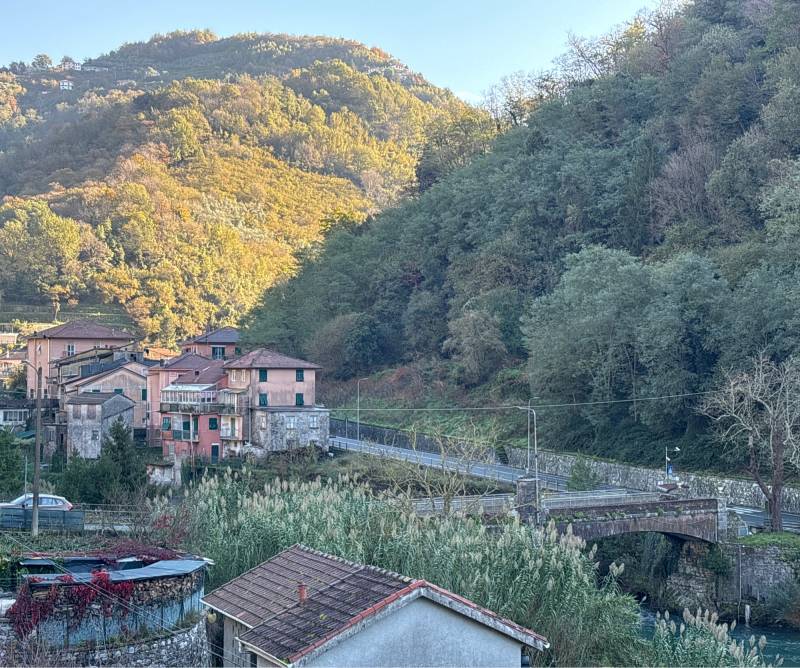Mezzanego ponte di vignolo