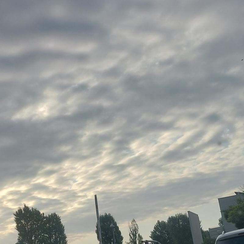 Fotosegnalazione di Colorno