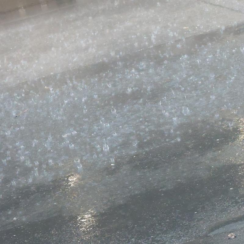 Piove piove