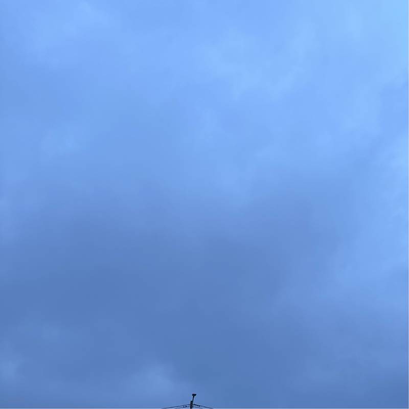 Fotosegnalazione di Casorate primo