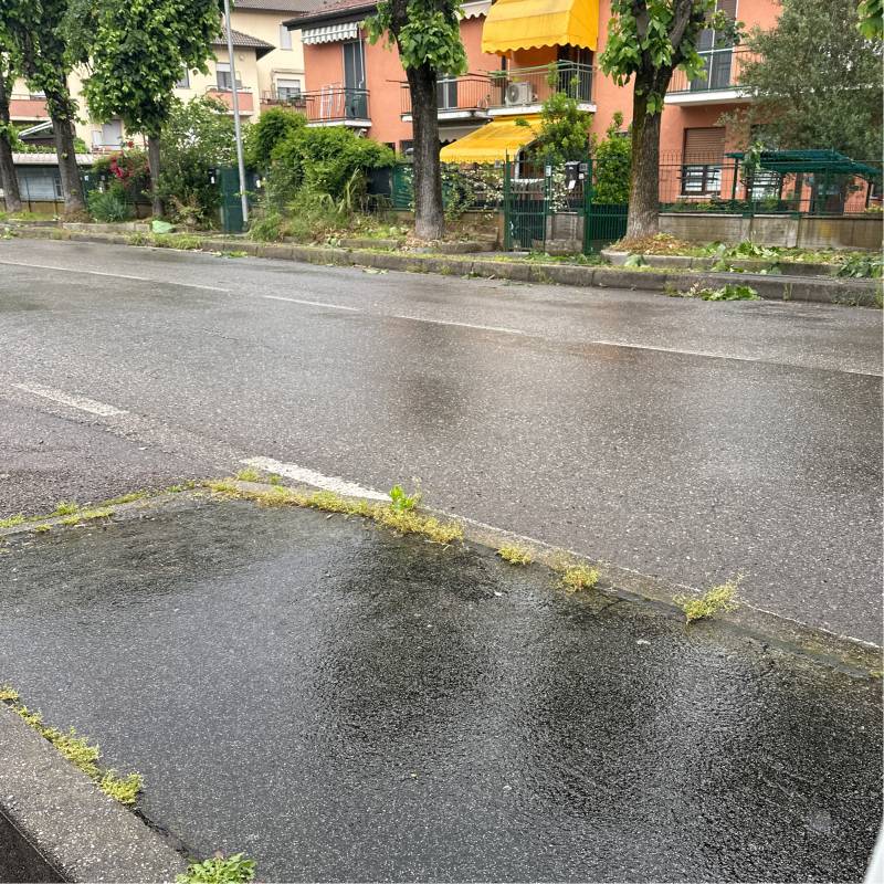 Fotosegnalazione di Rosate