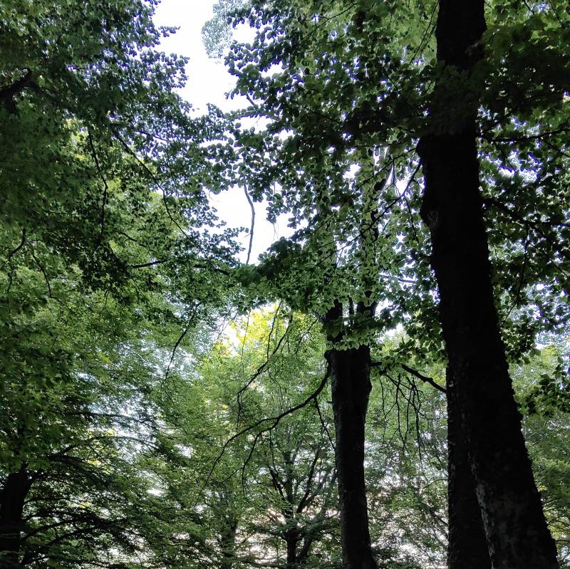 Giornata calda ma piacevole