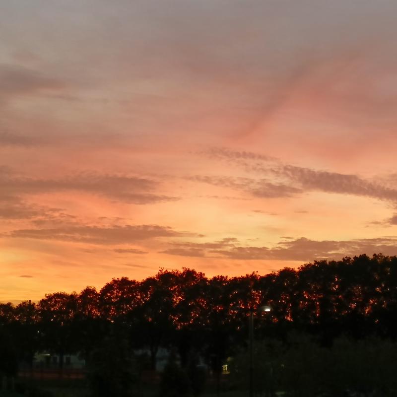 Fotosegnalazione di Osio sotto