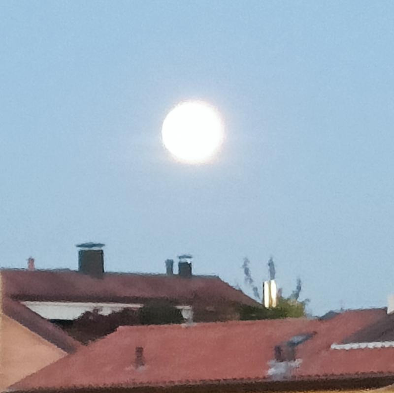 Luna serale