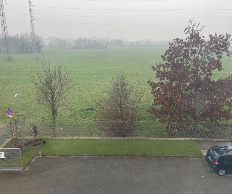 Niente pioggia