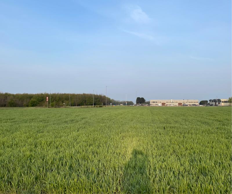 Fotosegnalazione di Magnago